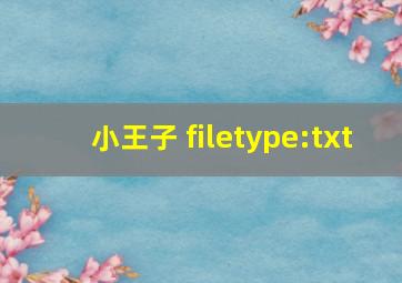 小王子 filetype:txt